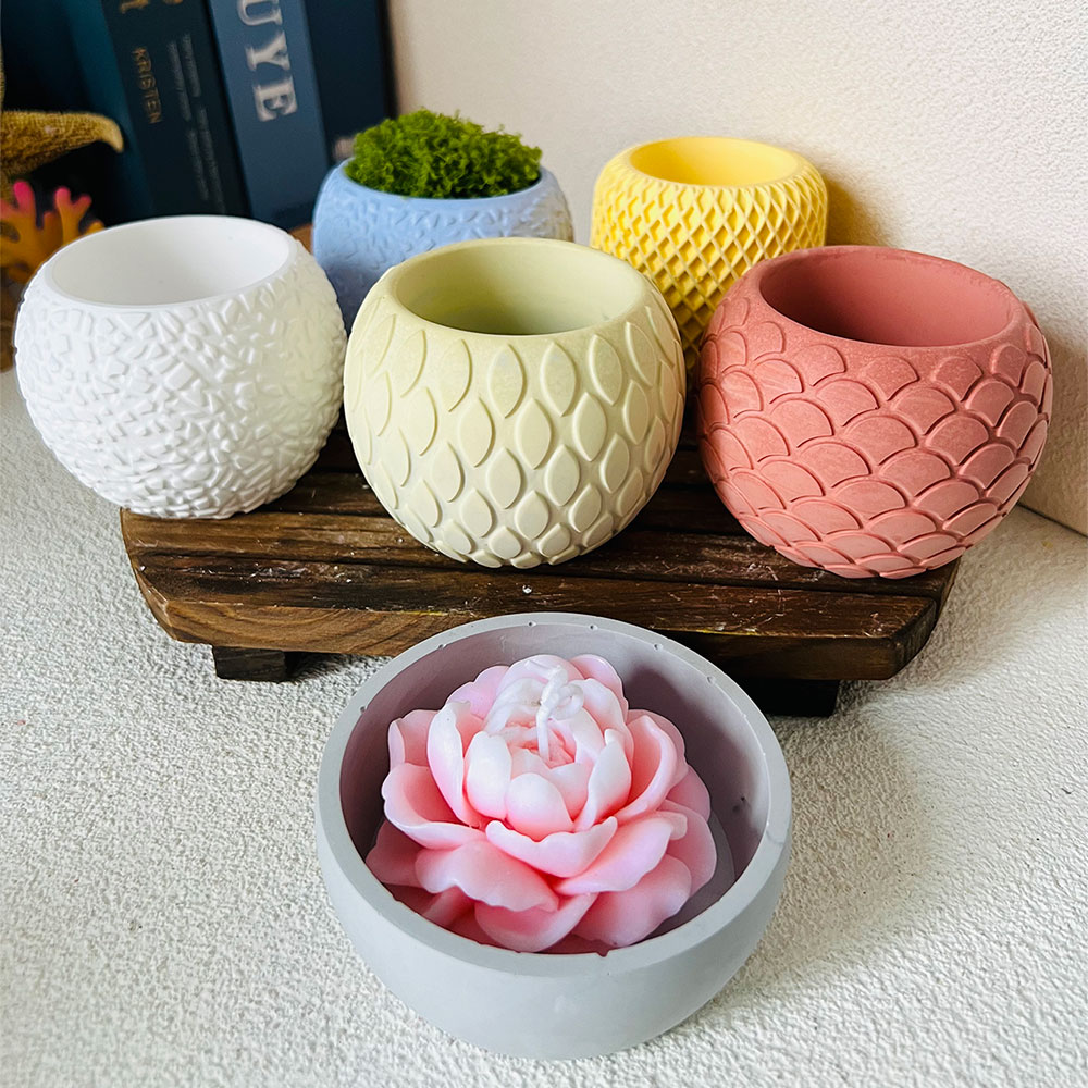 Moule en silicone à motif d'éc - Potsticker Mold avis et prix